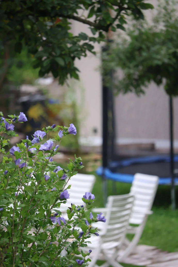 Grüner Gartenbereich mit Trampolin und Liegestühlen