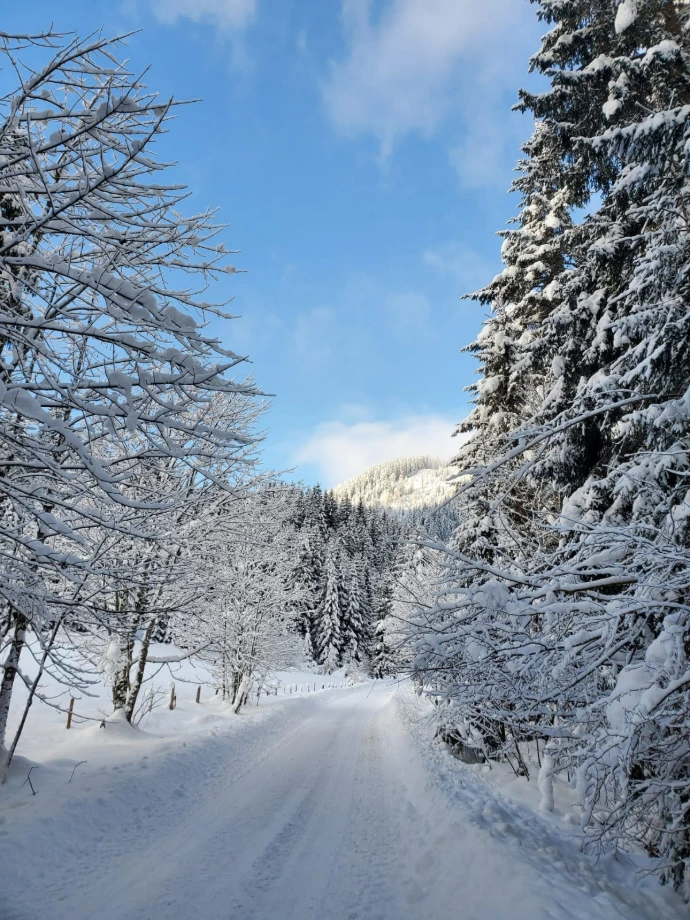 Winterliche Idylle rund um den Sonnhof