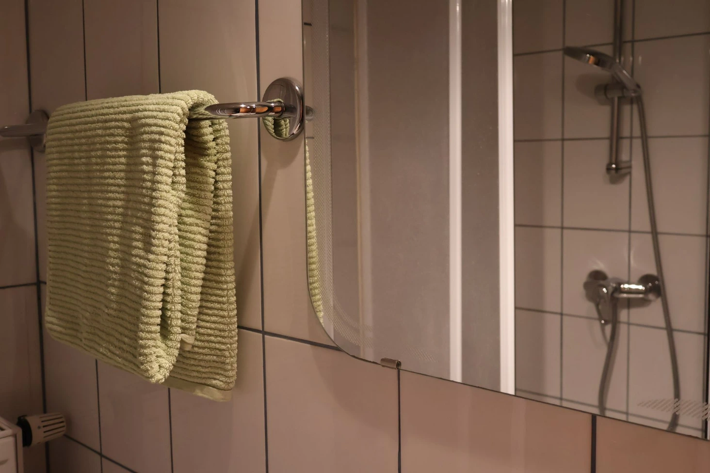 Dusche im Badezimmer der Ferienwohnung